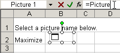 screenshot showing the pasted picture's formula bar