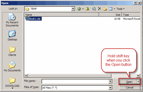 Opening the file from the File, Open dialog