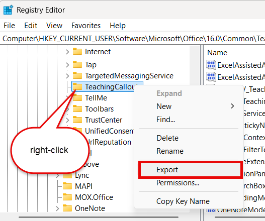 Copying all Teaching callouts in te registry